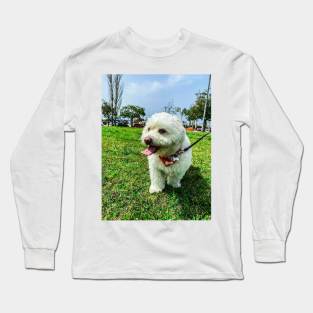 Cute puppy on a walk Long Sleeve T-Shirt